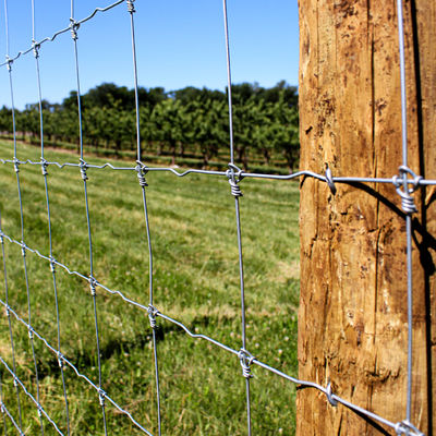 Caliente fijo de alta resistencia de Grassland Deer Farm de la cerca del nudo sumergido galvanizado