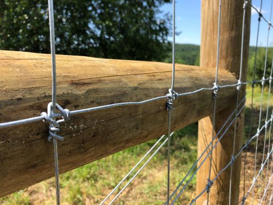 El ganado fijo de la junta de bisagra de la cerca el 1.2m del nudo de los ciervos ata con alambre a Mesh Field Fence