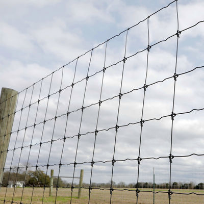 Cerca fija galvanizada de alta resistencia Metal Iron del ganado del nudo